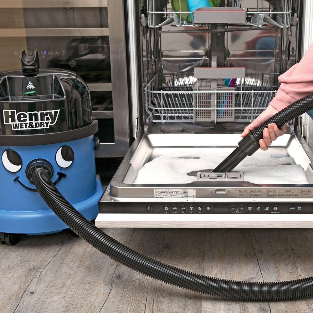 Henry Wet and Dry Cleaner Image 7