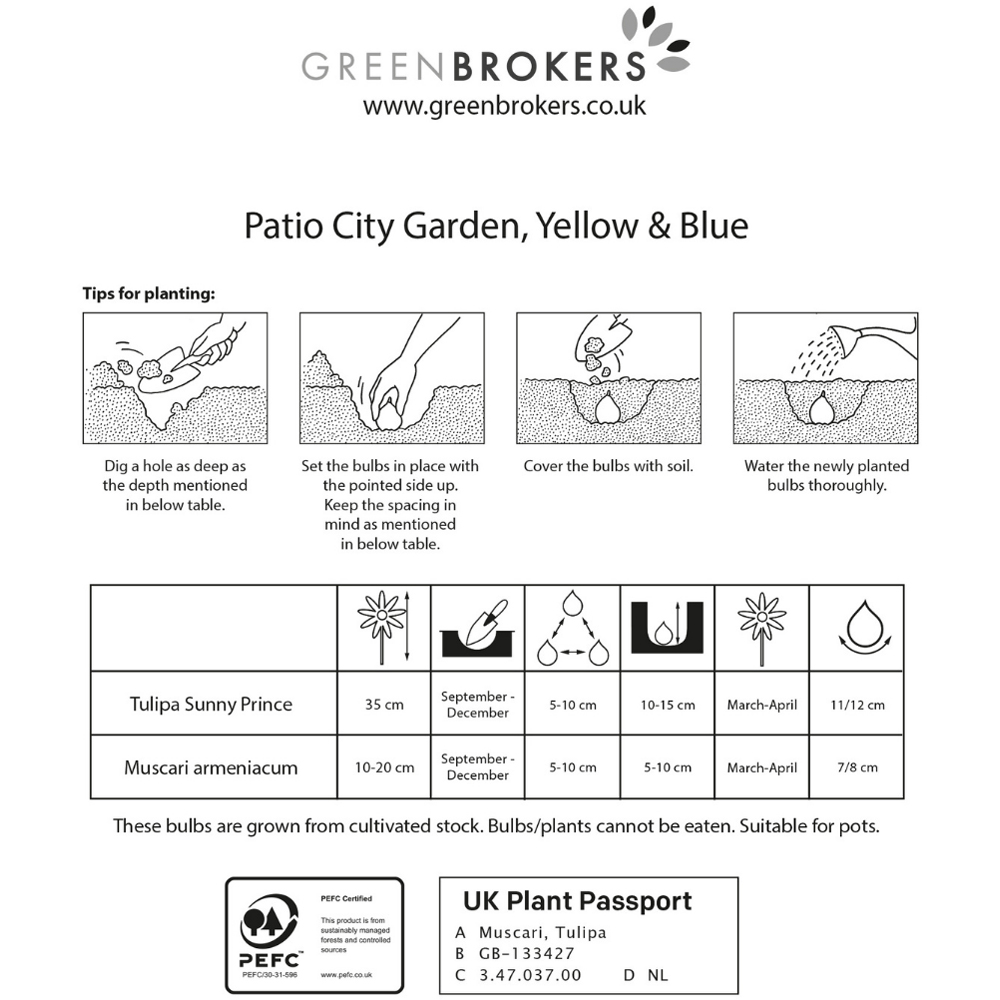 GreenBrokers Yellow and Blue Balcony and Patio Mixed Planter Bulb 40 Pack Image 3