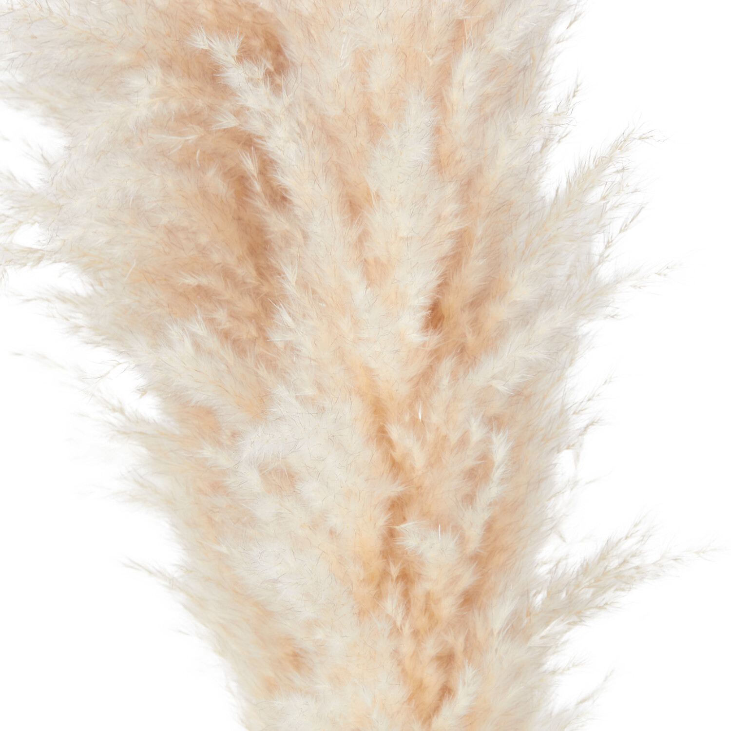 Palm Leaf Arrangement 95cm - Natural Image 2