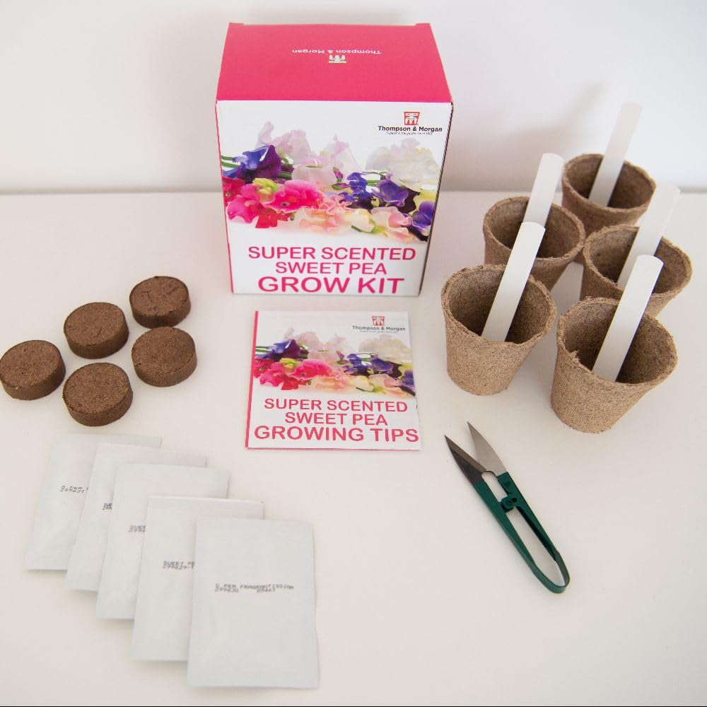 Thompson and Morgan Gift Sweet Peas Seed Grow Kit Image 2