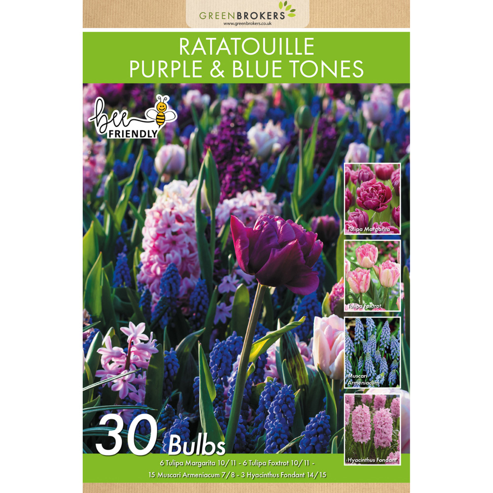 GreenBrokers Dutch Ratatouille Purple and Blue Tones Mixed Planting Bulb 30 Pack Image 2