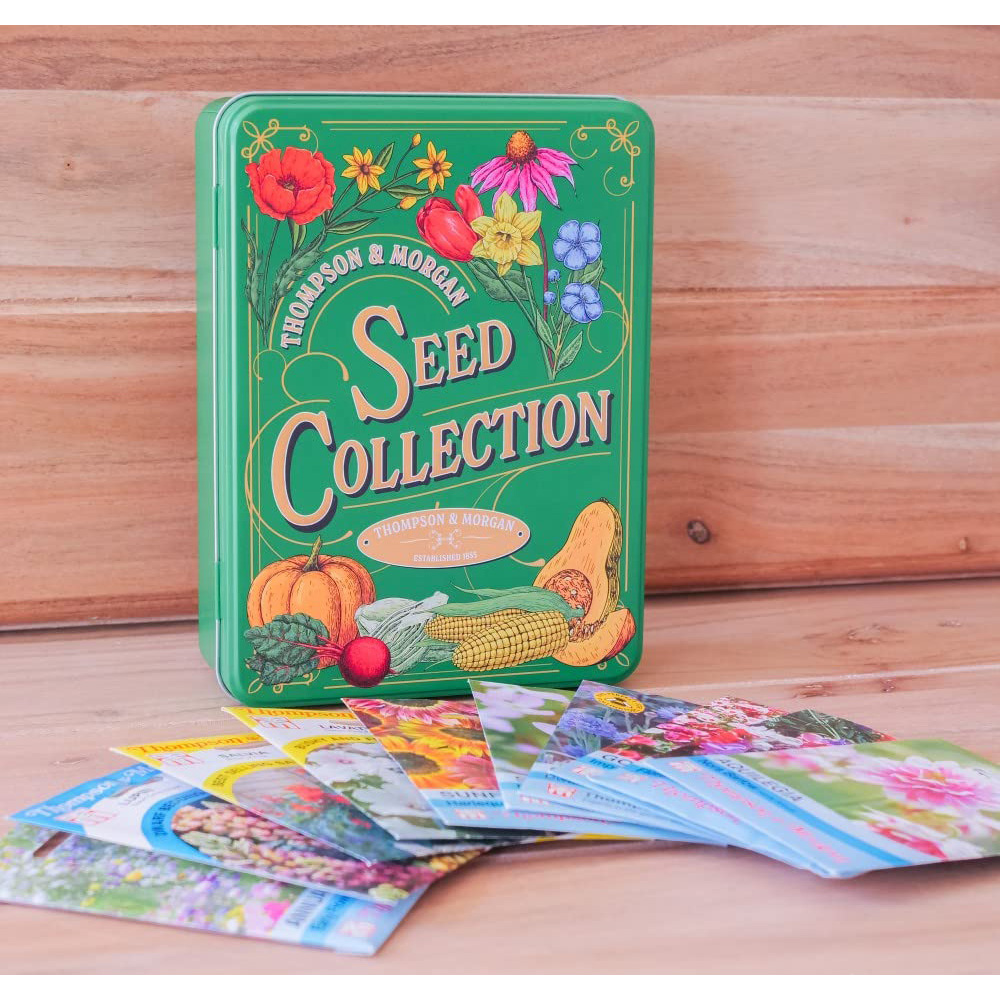 Thompson & Morgan Hard Good Seed Collection Tin with Flower Image 4