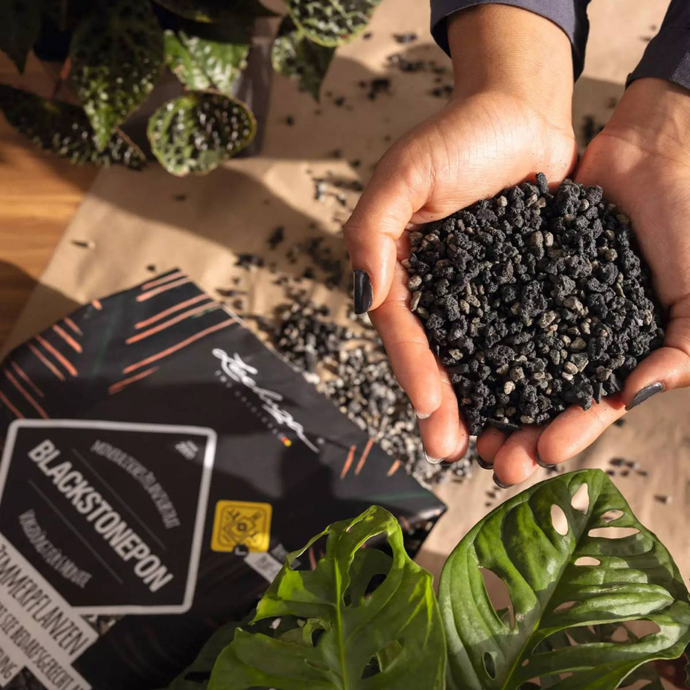 Lechuza Blackstonepon Prefertilized Indoor Plant Compost 12L 2 Pack Image 4