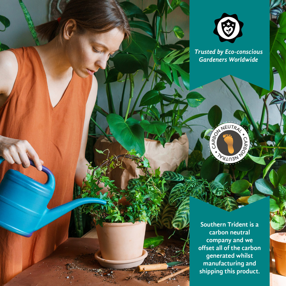 Coco & Coir Little Big Compost Coco Dots Coir Pellet 40mm Image 7