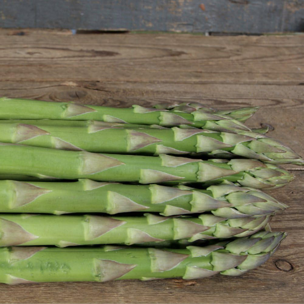 Thompson and Morgan Asparagus Gijnlim Crown 25 Pack Image 4