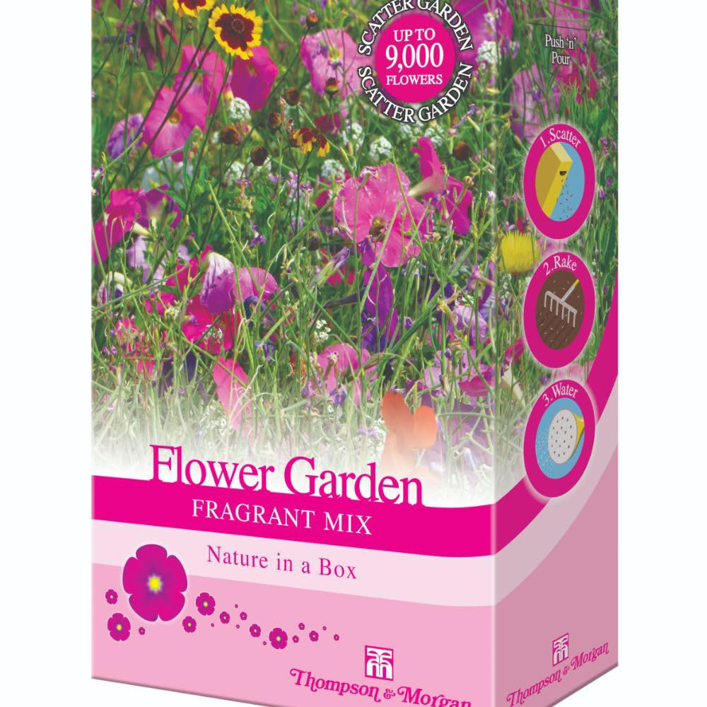 Thompson and Morgan Scatter Flower Garden Fragrant Mix 2 Pack Image 2