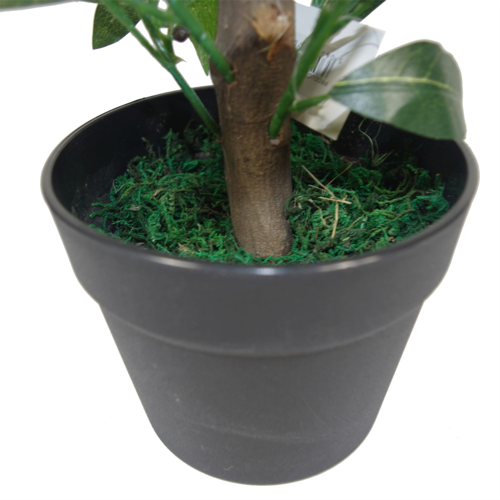 Leaf Artificial Dwarf Bay Laurel Topiary Tree 50cm 2 Pack Image 3