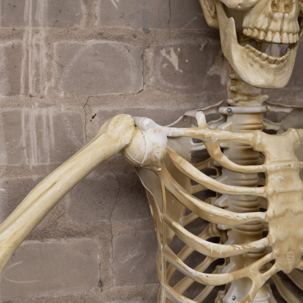 Samuel Alexander Posable Full Body Skeleton Halloween Decoration 5ft Image 6