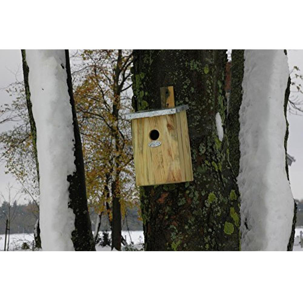Fallen Fruits Wooden Mirror Bird Nesting Box Image 2