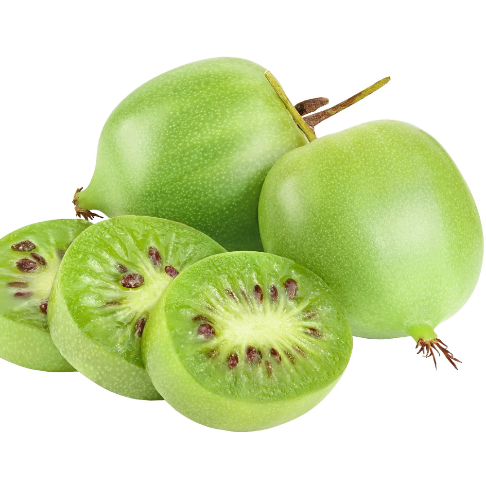 Thompson and Morgan Actinidia Kiwi Arguta Geneva Plant Pot 15cm 3 Pack Image 3