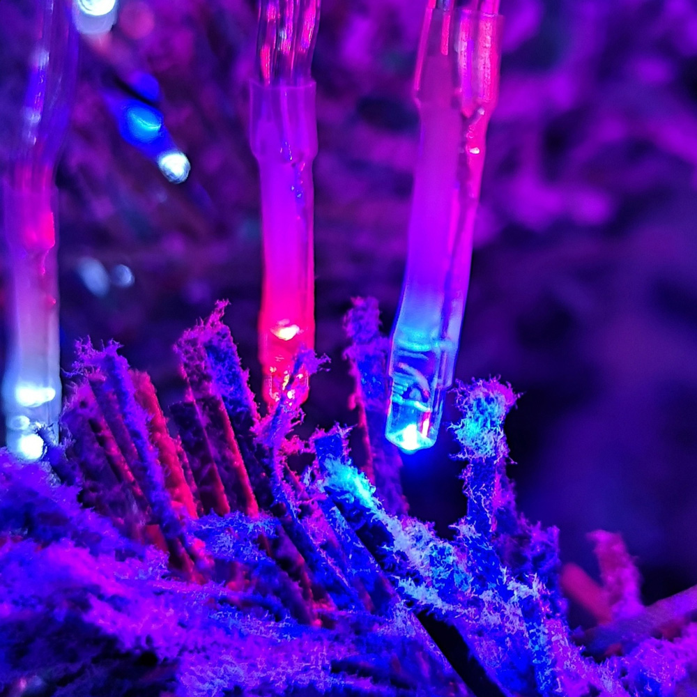 Premier Red White and Blue LED Cluster Christmas Lights 12.4m Image 2