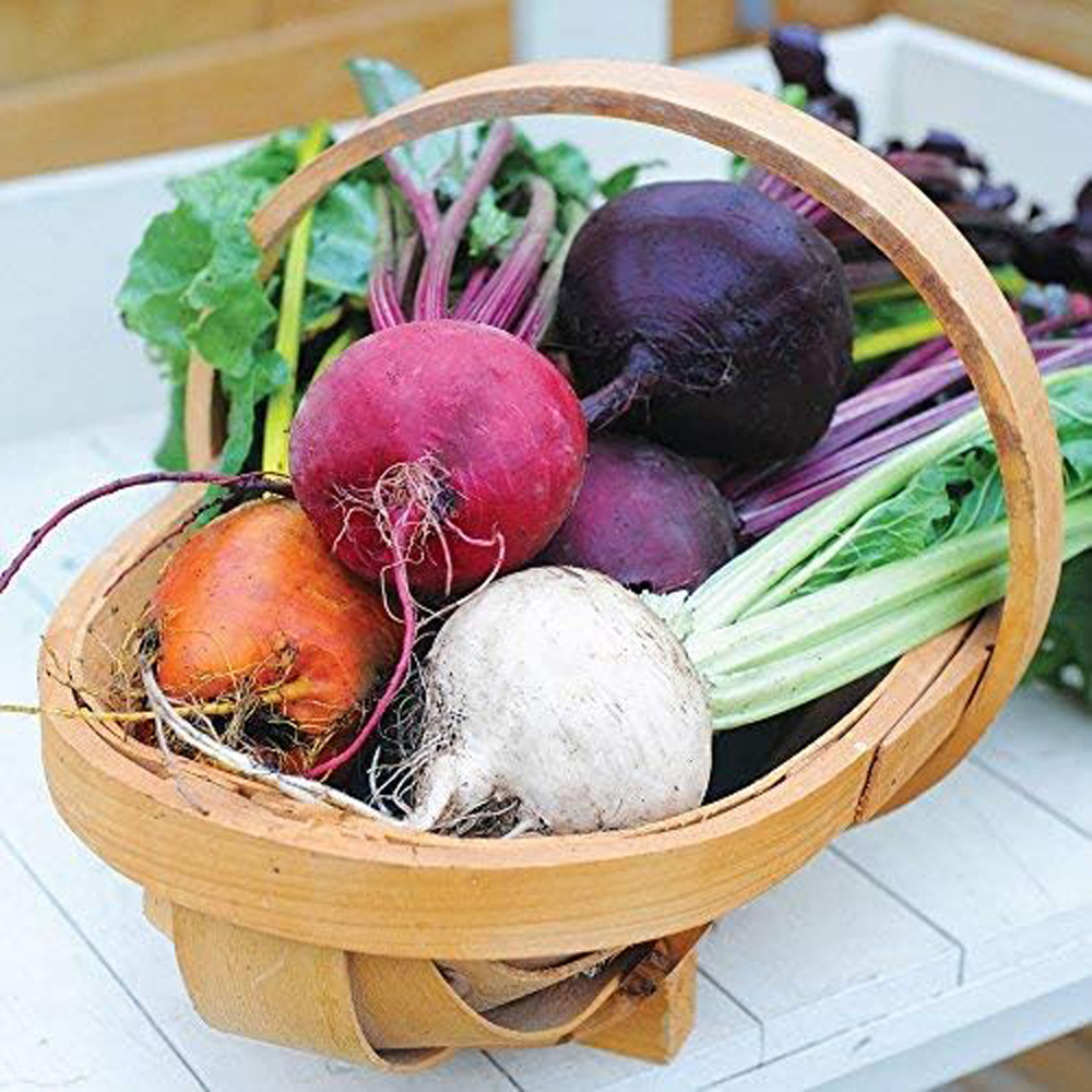 Thompson & Morgan Beetroot Rainbow Beet Seeds Image 2