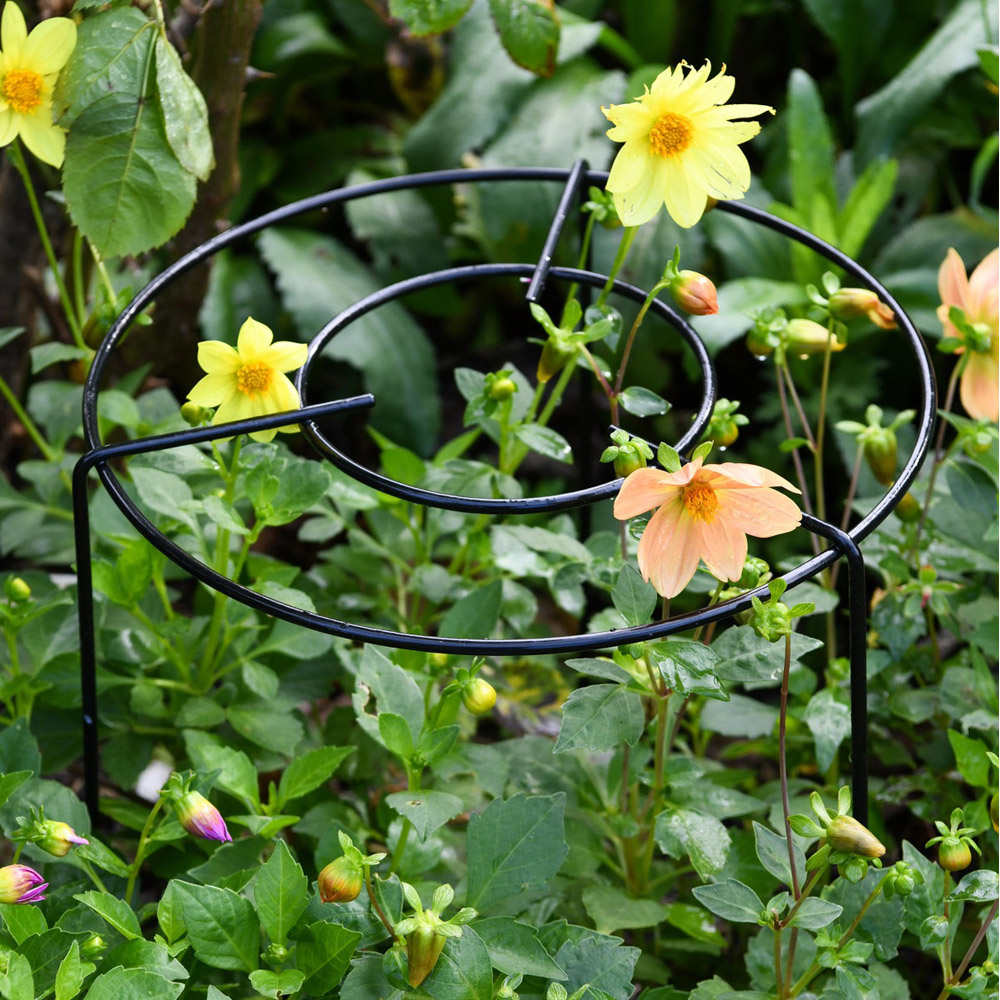 Garden Gear XL Double Round Grow Through Grid Support 60cm 3 Pack Image 2