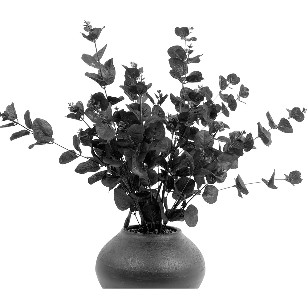 Eucalyptus Vase Arrangement Black Image 3