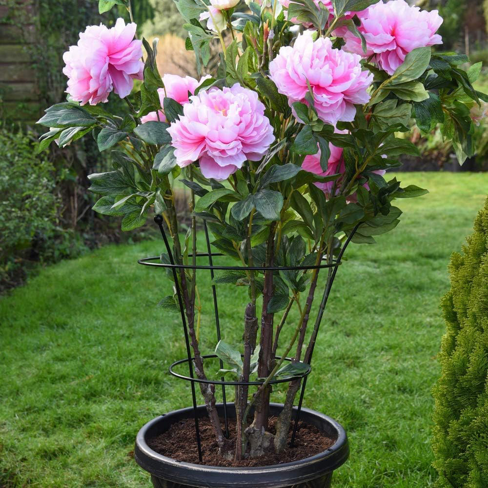 Garden Gear Medium Pre-Rust Corten Peony Plant Frame Image 2