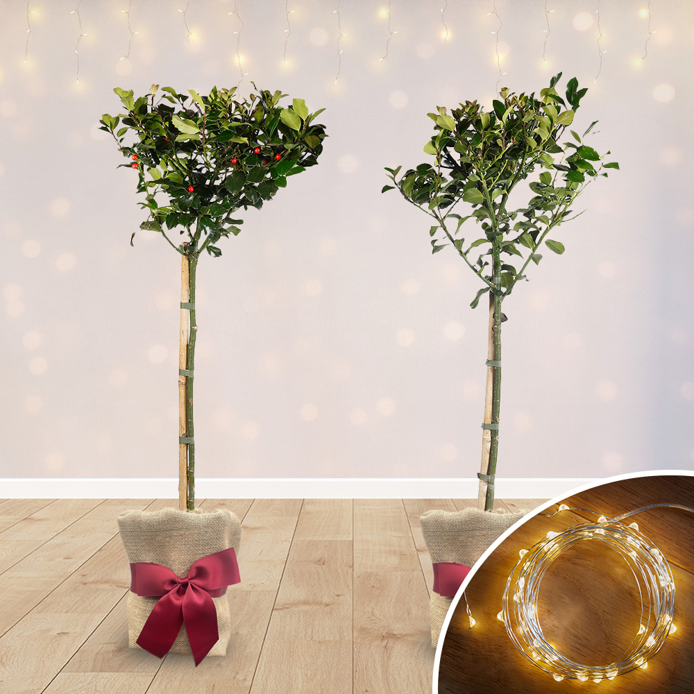 YouGarden Holly Tree Plant Pot with LED Light and Gift Wrap 80cm 2 Pack Image 2