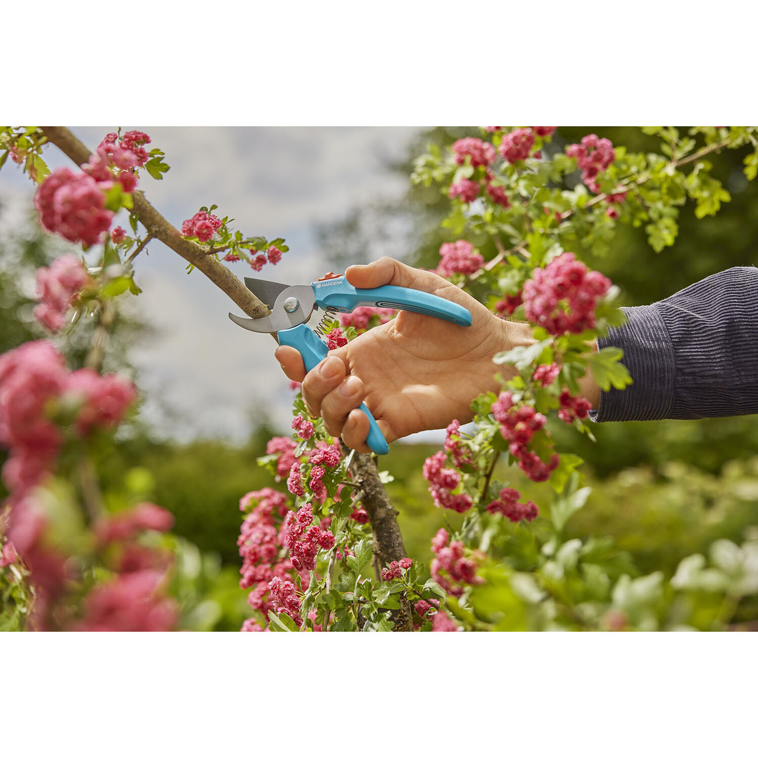 Gardena Easycut Secateurs Image 6