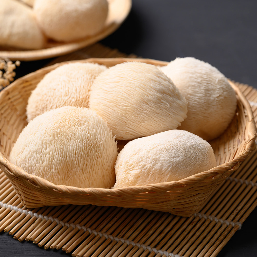 YouGarden Lion's Mane Mushroom Grow Kit 4L Image 3