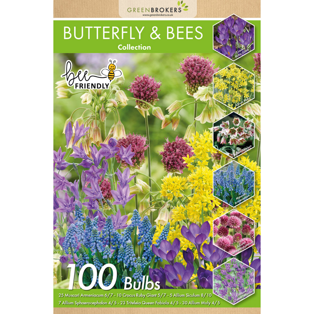 GreenBrokers Dutch Butterfly and Bee Mixed Collection Planting Spring Bulb 100 Pack Image 2