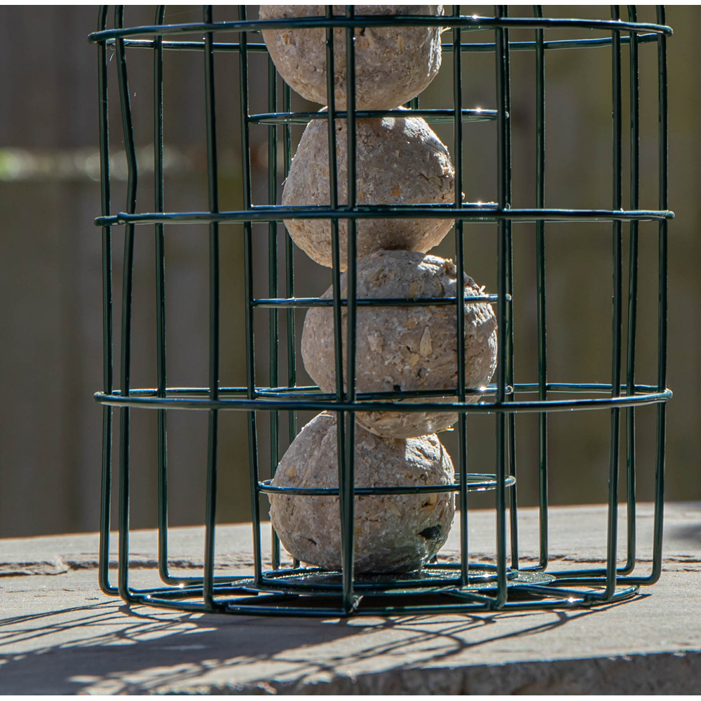 Samuel Alexander 2 Pack Metal Hanging Bird Feeder with Squirrel Guard and Suet Fat Ball 6 Pack Image 9