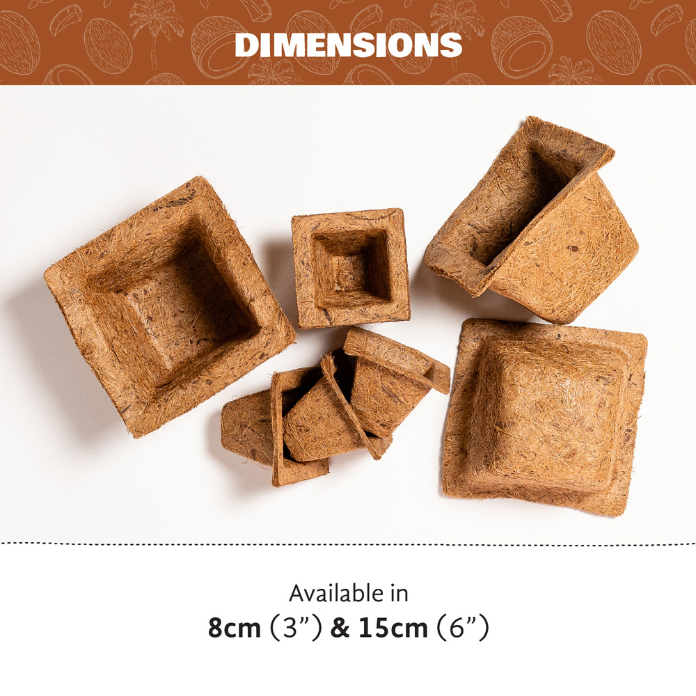 Coco & Coir Square Propagation Pot 8cm 12 Pack Image 4