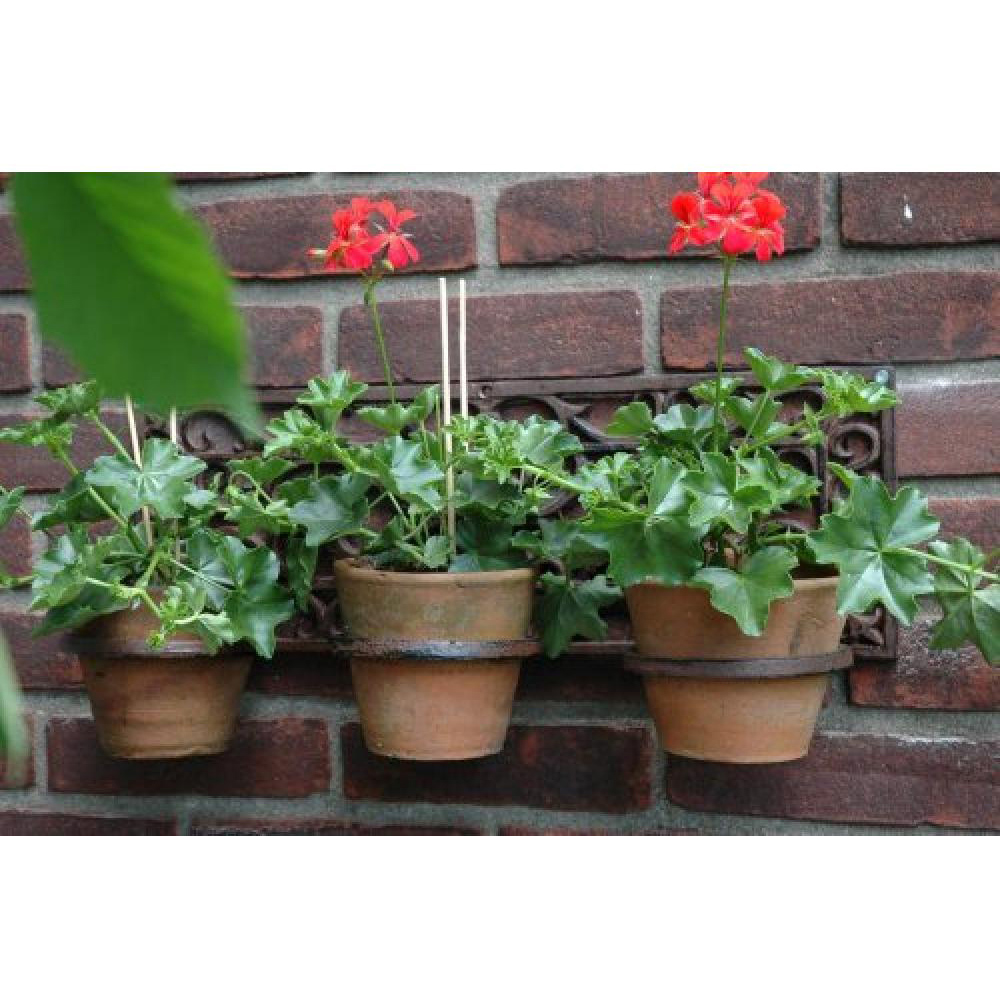 Fallen Fruits 3 Pot Cast Iron Wall Mounted Flowerpot Holder Image 2