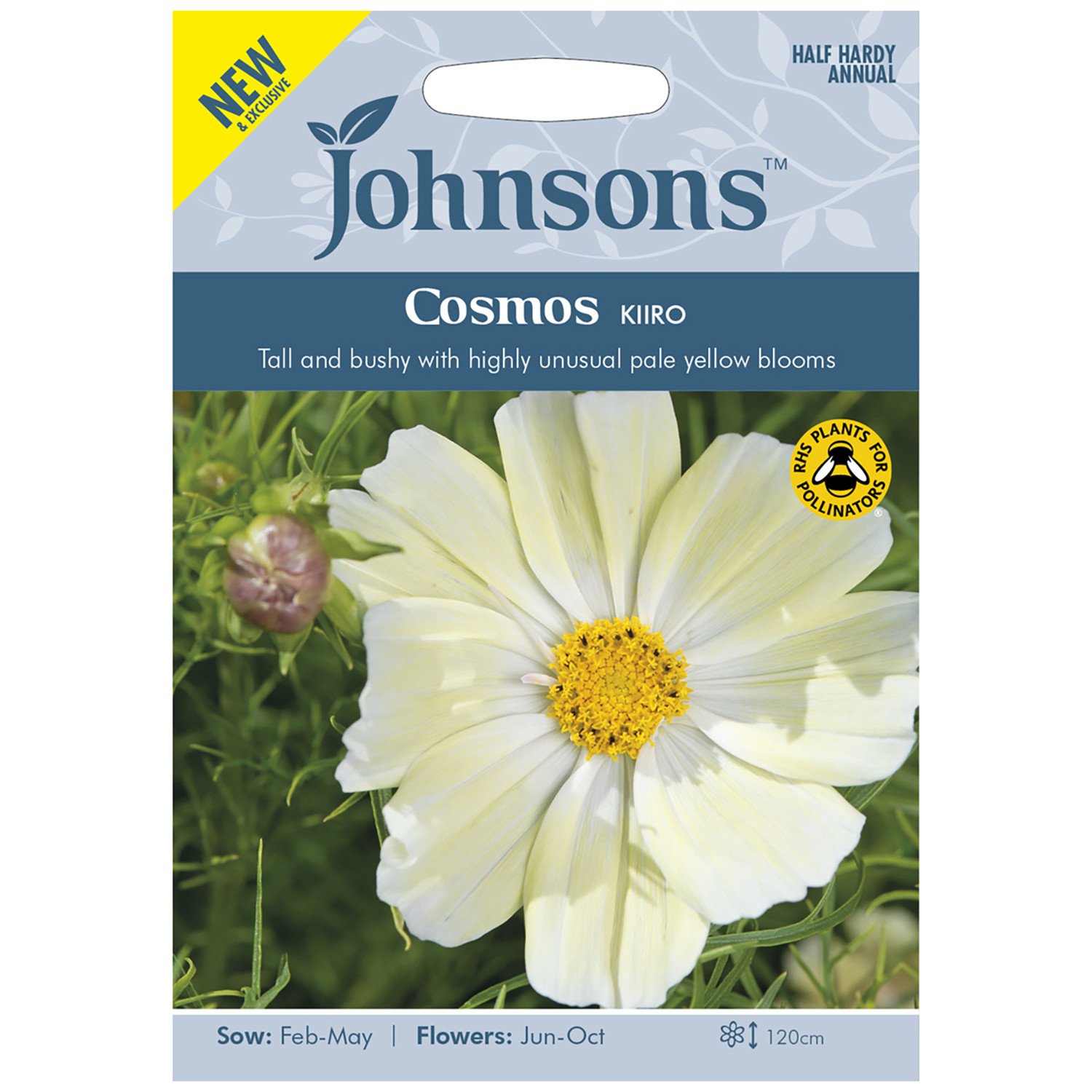 Johnsons Cosmos Kiiro Image