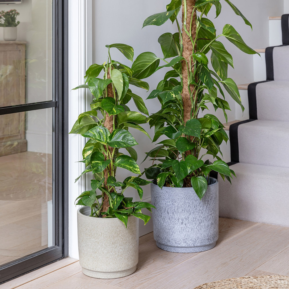 Ivyline Wesley Blue Marble Planter 22 x 26cm Image 2