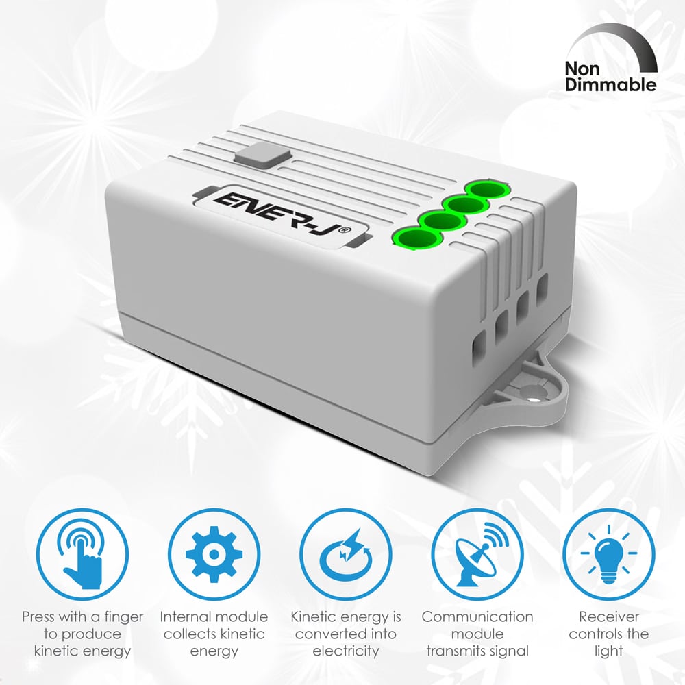 ENER-J PRO 500W RF Non Dimmable Receiver Module Image 7