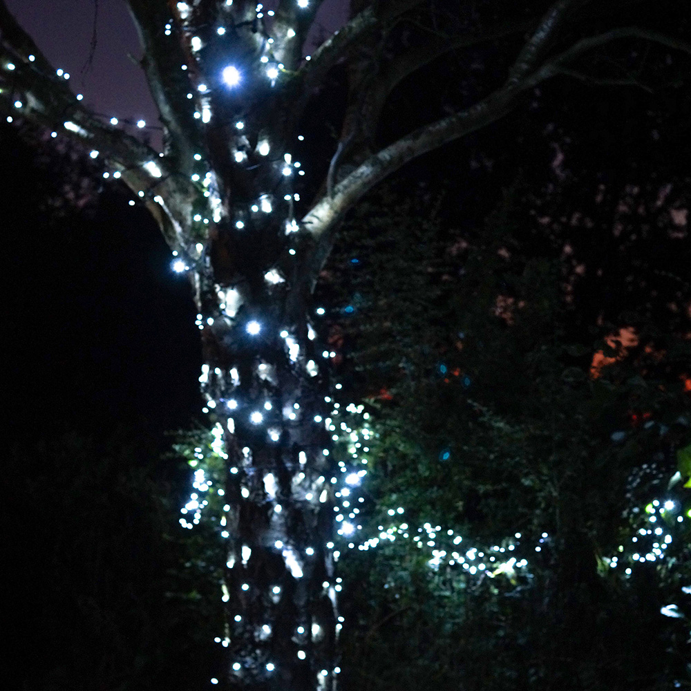 Eagle Connect Cool White LED Black String Light 35m Image 4