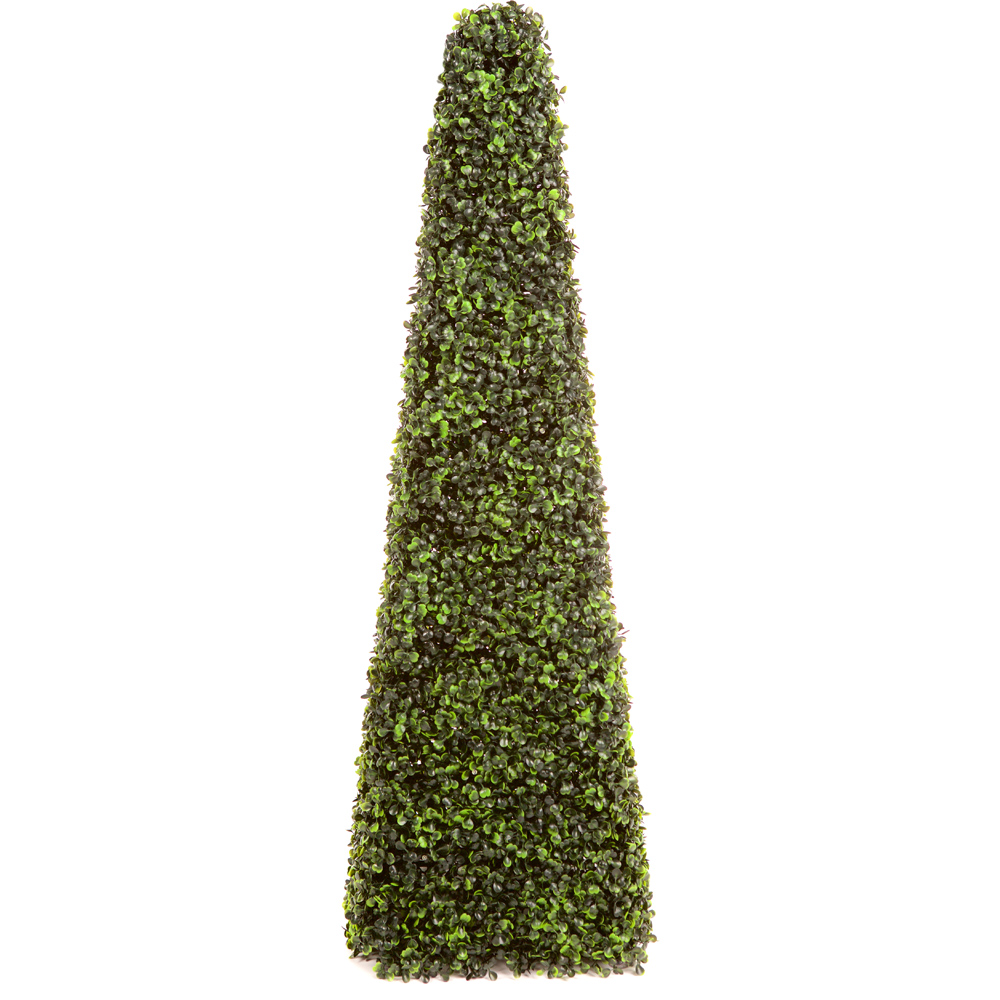 3ft Boxwood Pyramid Tree Image 4