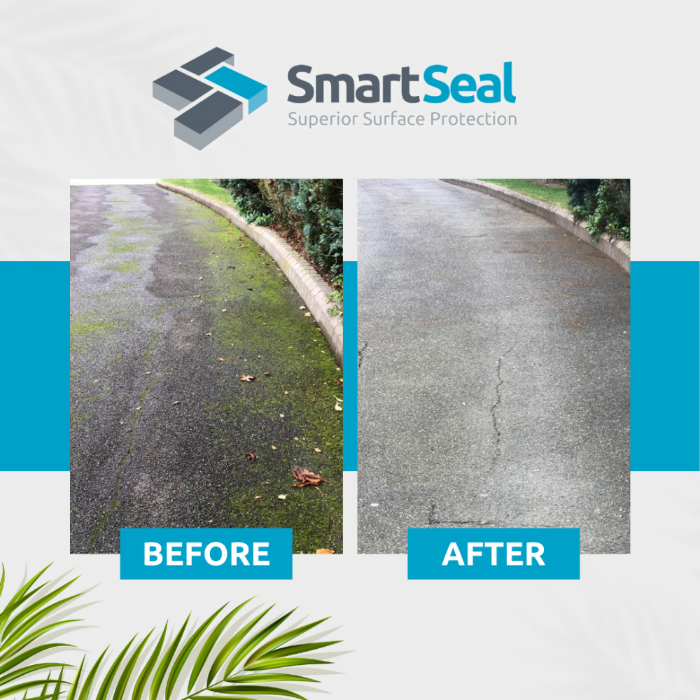 SmartSeal Green Clear Green Growth and Algae Remover 5L 3 Pack Image 4