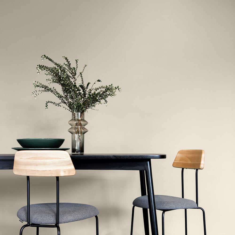 Craig & Rose Walls and Ceilings Regency White Chalky Emulsion Paint 5L Image 4