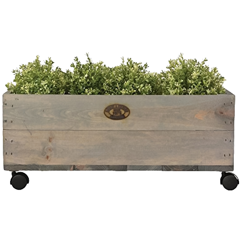Fallen Fruits Medium Rolling Planter with Wheels Image