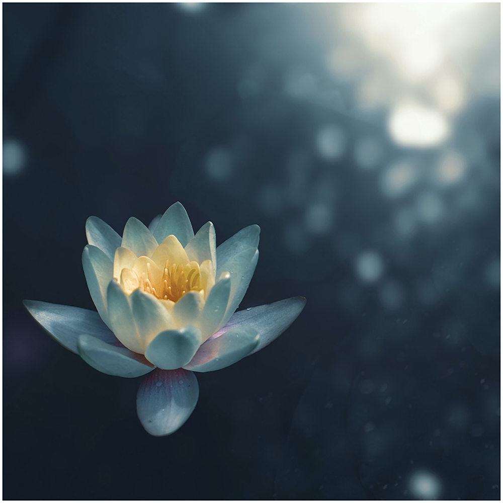 Mirrorstone Nexus Pond Lilly Picture Wi-Fi Infrared Heating Panel 350W 595 x 595mm  Image 4