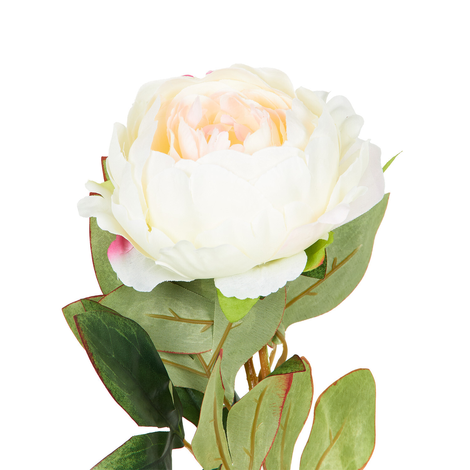 Faux Millicent Peony Image 8