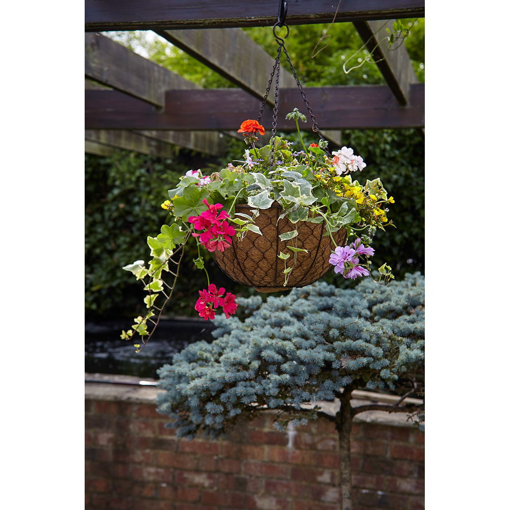 Samuel Alexander Black Heavy Duty Steel Twisted Bar Hanging Basket 40cm Image 3