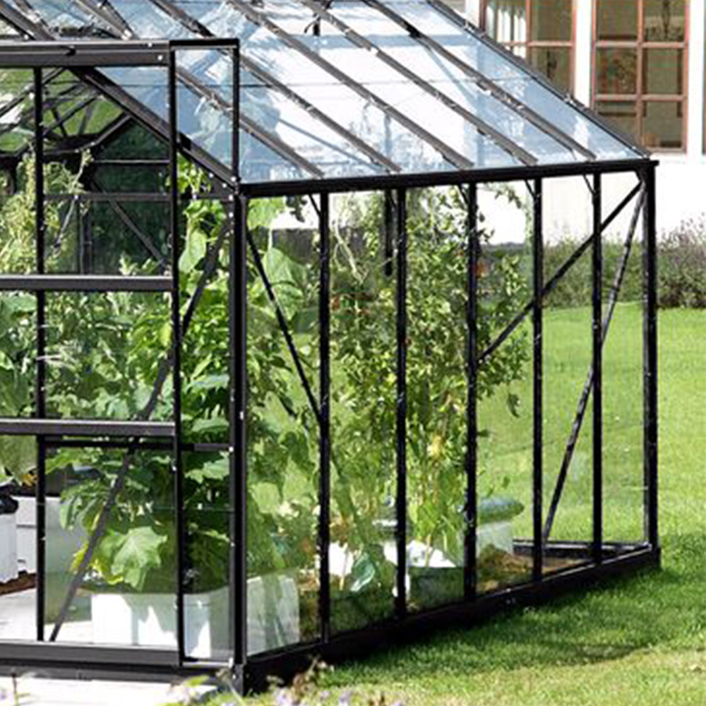 Vitavia Jupiter 9900 Black Frame Horticultural Glass 8 x 12ft Greenhouse Image 4