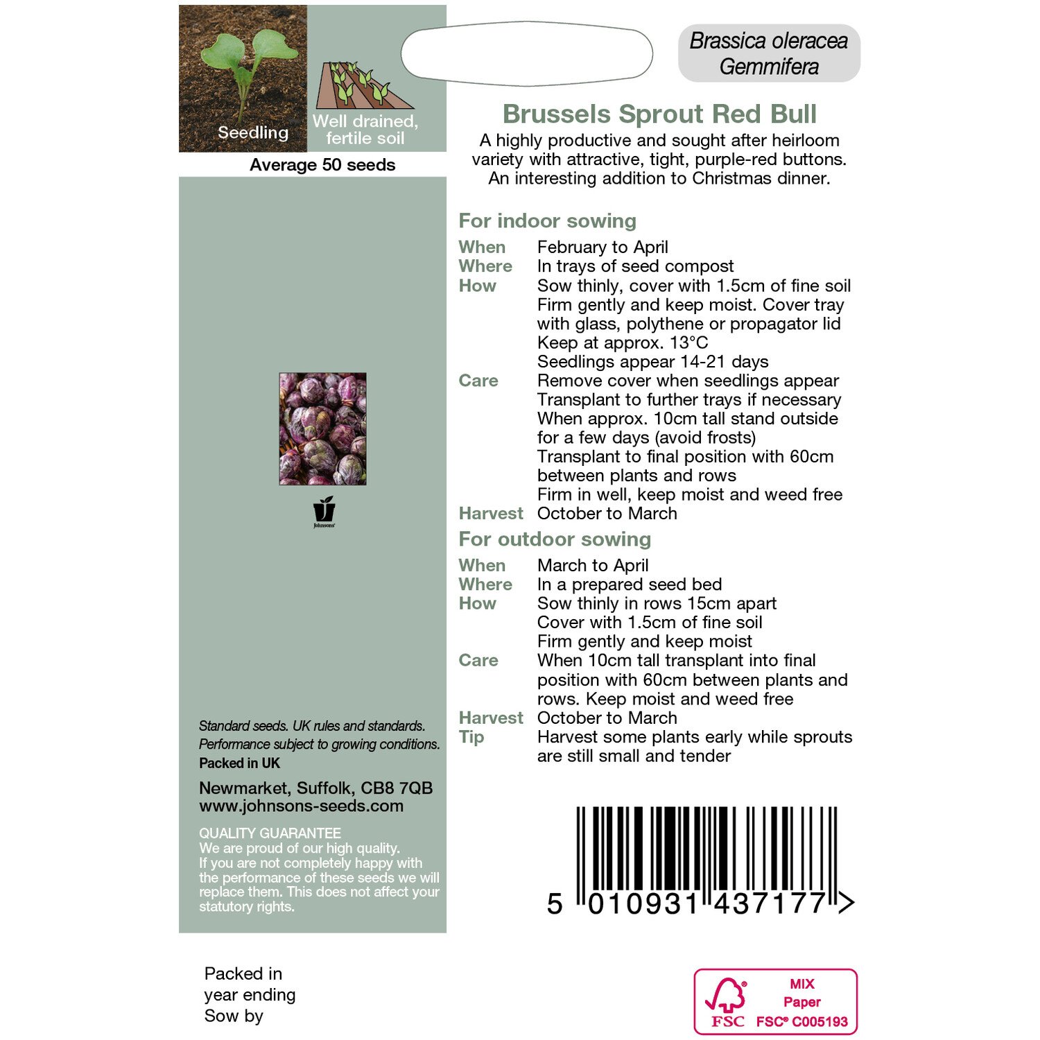 Johnsons Brussels Sprout Red Bull Seeds - Purple Image 2