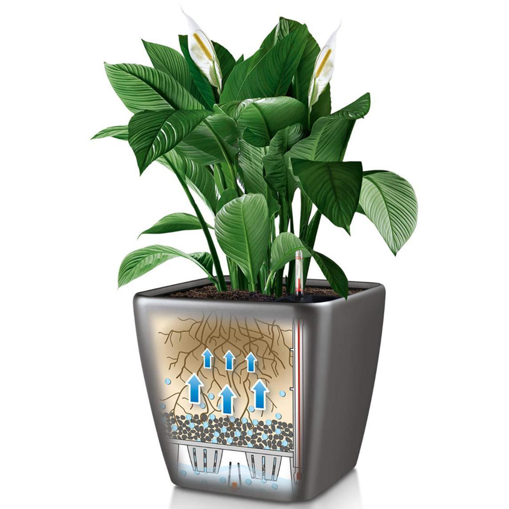 Lechuza Quadro LS 35 Black Poly-Resin Self-Watering Planter 33cm Image 3