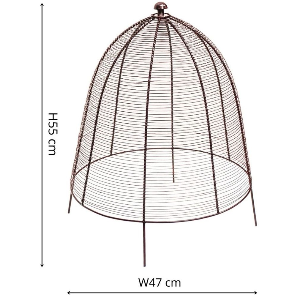 Ivyline Bronze Wired Garden Plant Protector 55 x 47cm Image 3