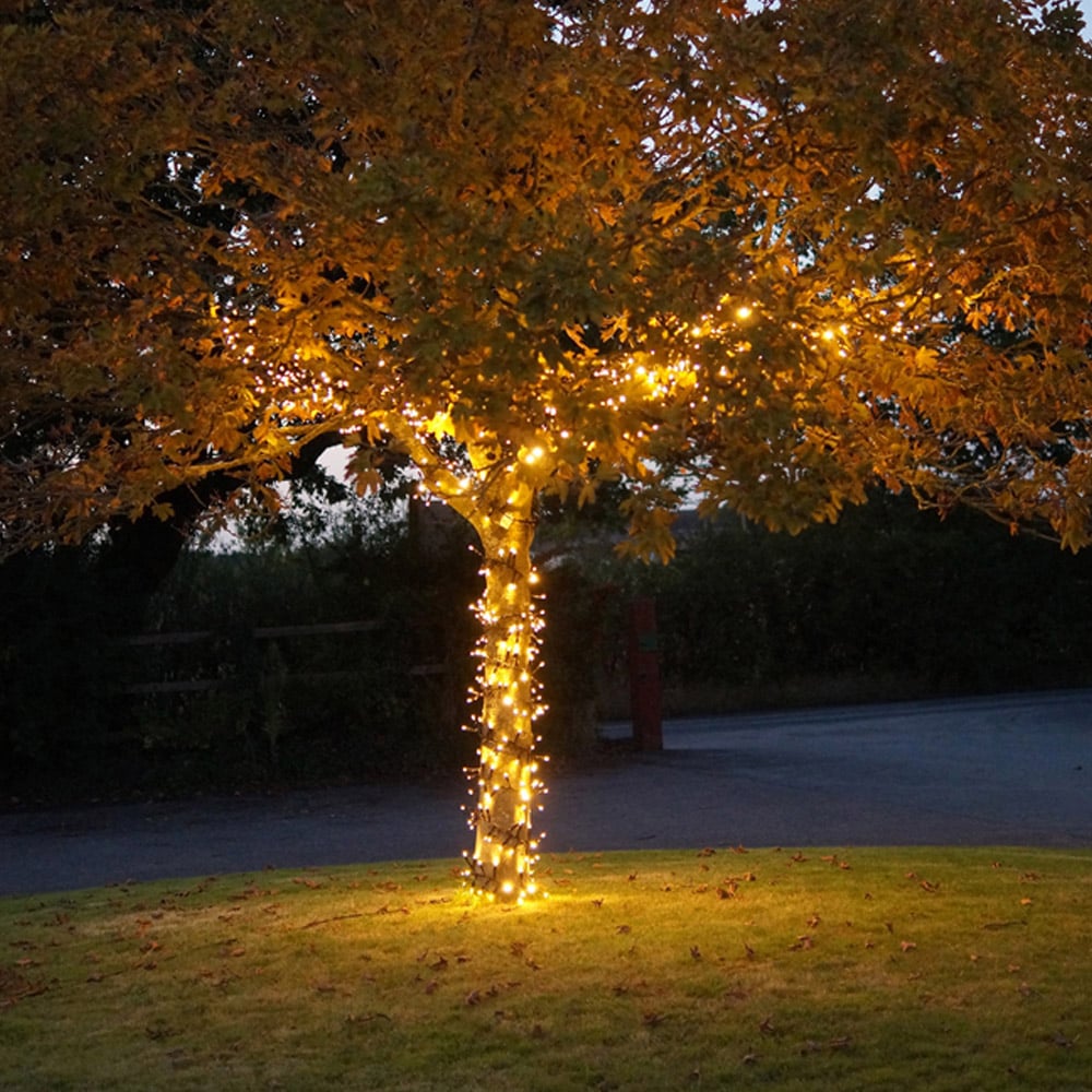 Eagle Connect 750 Gold LED Black Cluster Light 15m Image 5