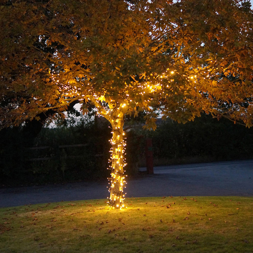 Eagle Connect 1500 Gold LED Black Cluster Light 30m Image 5