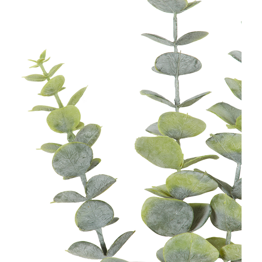 Dusted Eucalyptus - Green Image 6