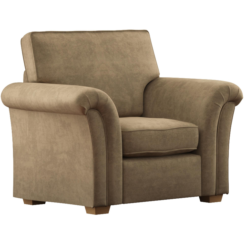 Castleacre Mink Plush Velvet Fixed Back Armchair Image 2