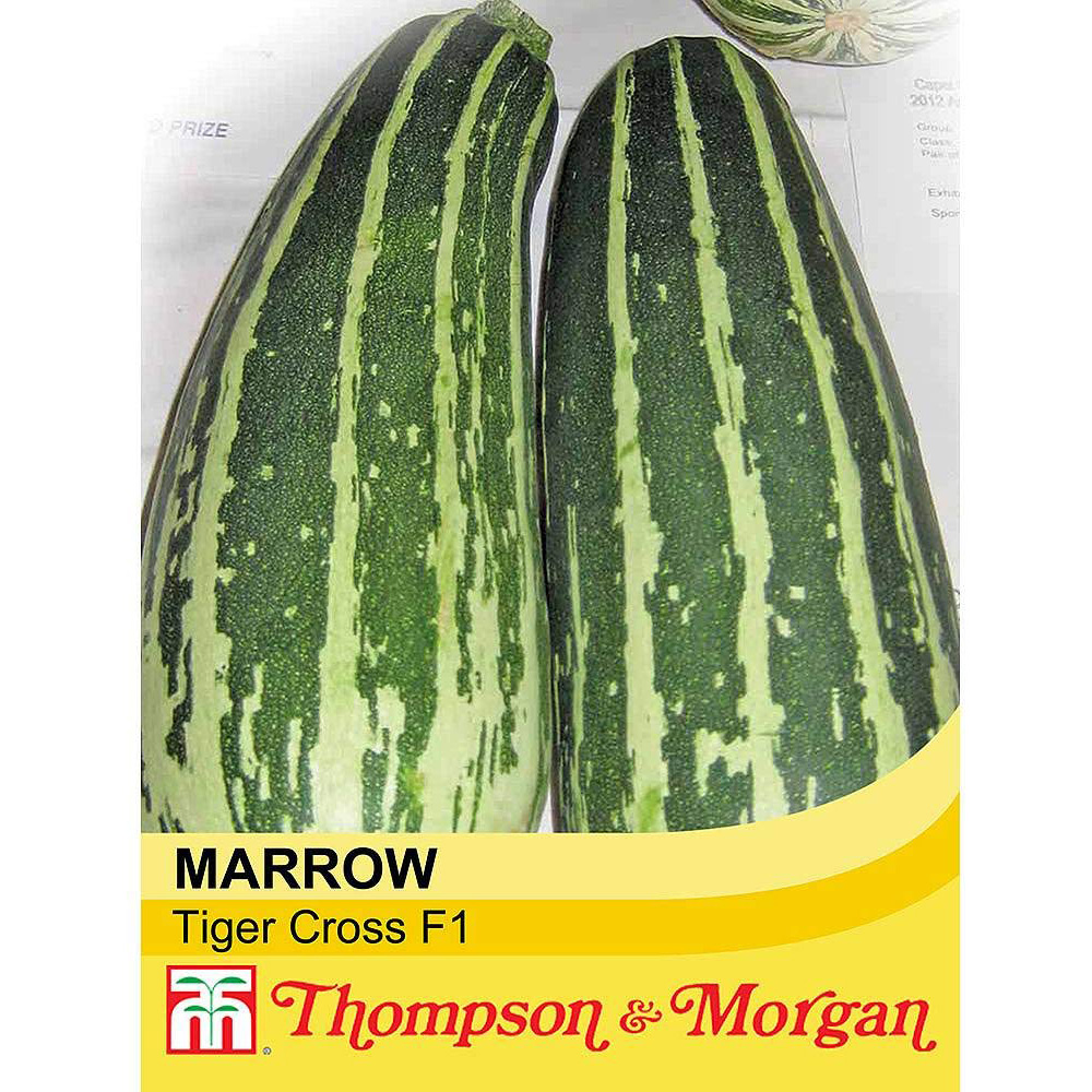 Thompson and Morgan Marrow Tiger Cross F1 Hybrid Seeds Image 2
