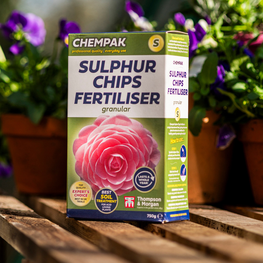 Thompson and Morgan Chempak Sulphur Chips Fertiliser 750g 2 Pack Image 3