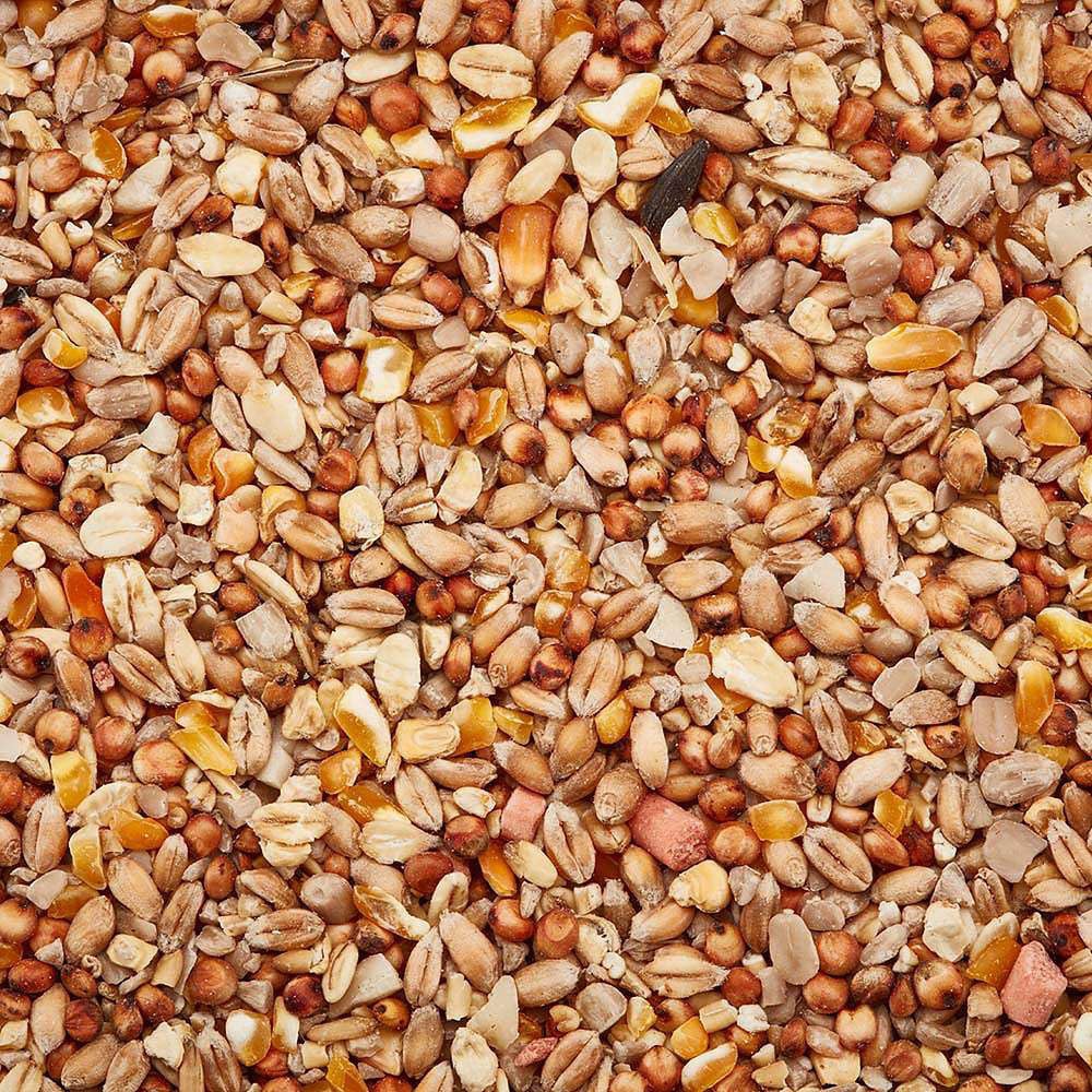 Happy Beaks Robin and Songbird No Mess Wild Bird Seed Mix 5kg Image 5
