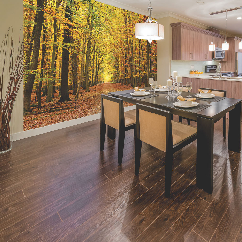 Origin Murals Autumn Forest Orange Wall Mural Image 3