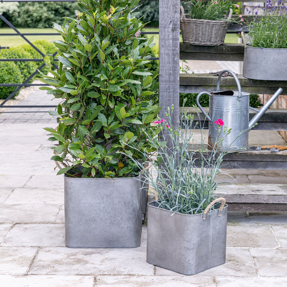 Ivyline Galvanised Rope Handle Square Planter 2 Pack Image 2